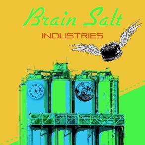 Download track Flyin' Away Brain Salt