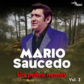 Download track Tu Amor Era Fingido Mario Saucedo