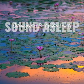 Download track Calming Lotus Pond Water Sounds, Pt. 19 Elijah Wagner