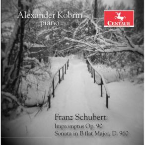 Download track Piano Sonata In B-Flat Major, D. 960: IV. Allegro Ma Non Troppo Alexander Kobrin