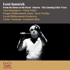 Download track Amarus: IV. Adagio Czech Philharmonic Orchestra, Frantisek Jilek, Václav Neumann