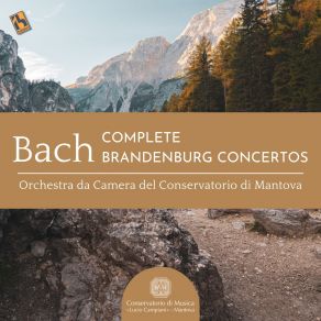 Download track Brandenburg Concerto No. 4 In G Major, BWV 1049: III. Presto Luca Bertazzi, Orchestra Da Camera Del Conservatorio Di Mantova