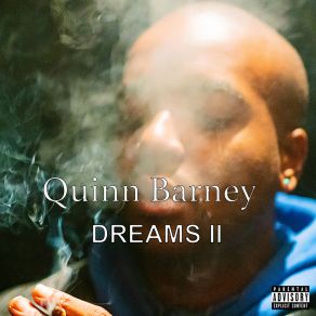 Download track If We Quinn Barney