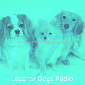 Download track Cheerful Smooth Jazz Saxophone - Vibe For Morning Dog Walks Jazz For Dogs Radio