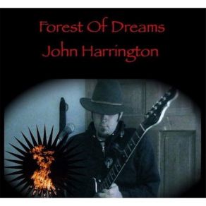 Download track 6 Strings And A Wounded Heart John Harrington