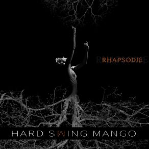 Download track Traveller Hard Swing Mango