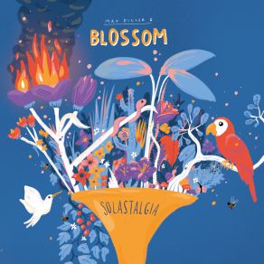 Download track Still Blooming Blossom, Max Diller