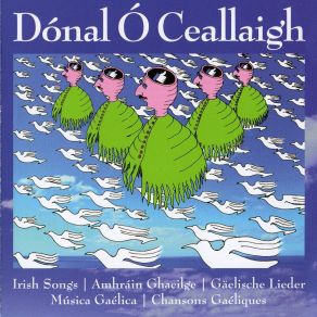 Download track Gaoth Na NGael (Celtic Wind) Dónal Ó Ceallaigh