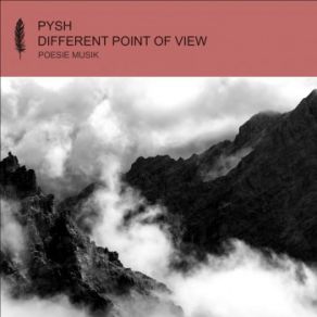 Download track Different Point Of View (Max Joni Remix) Pysh