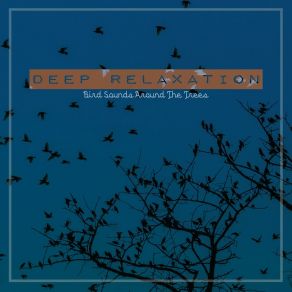 Download track Bird Sounds Around The Trees, Pt. 20 Craig Hewitt