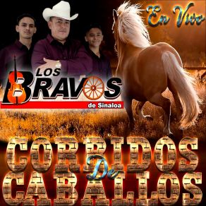 Download track El Tarahumara (En Vivo) Los Bravos De Sinaloa