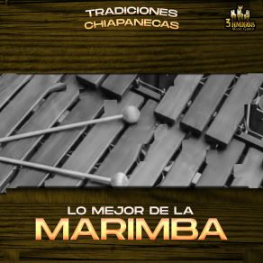 Download track La Chiapaneca Marimba