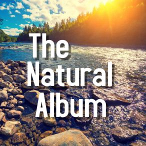 Download track Forest Walk Chemical Free