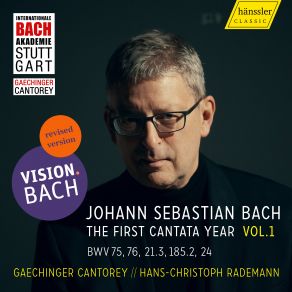 Download track Ich Hatte Viel Bekümmernis, BWV 21, Pt. 1: No. 6, Was Betrübst Du Dich, Meine Seele Hans-Christoph Rademann, Gaechinger Cantorey