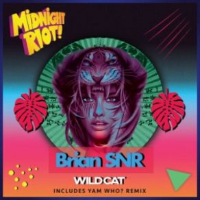 Download track Wild Cat (Yam Who Remix) Brian SnrYam Who?