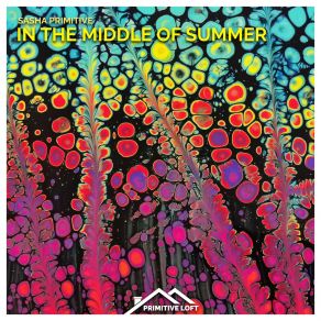 Download track In The Middle Of Summer Sasha Primitive