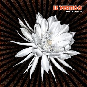 Download track Sur Le Velours Le Vertigo