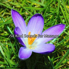 Download track Reiki Miracle Yoga Music