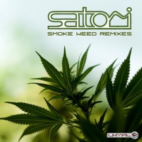 Download track Smoke Weed (Teaser Remix) Satori