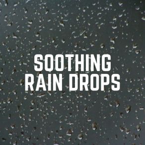 Download track Rising Streams Of Rain Water Nature Soundscapes