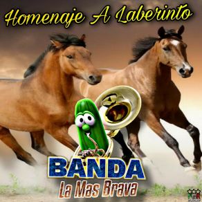 Download track Mi Potra Banda La Mas Brava