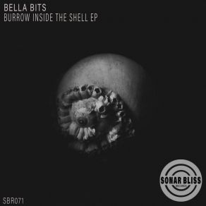 Download track Inside The Shell Bella Bits