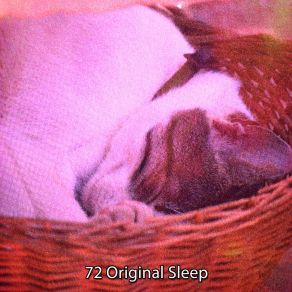 Download track A Gift Of Sleep Nature Recordings