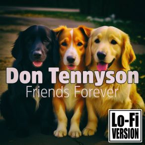 Download track Love In Paris Don Tennyson