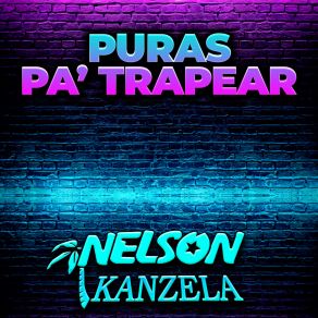 Download track El Pato Y La Pava / Se Baila De Jalao / Baila Morenita / Modesto El Papi / La Cumbia Del Sapito Nelson Kanzela