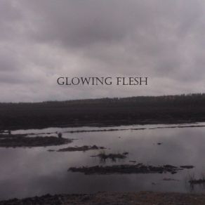 Download track Cosmic Dust Glowing Flesh