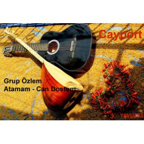 Download track Nazlı Yarim Grup Özlem