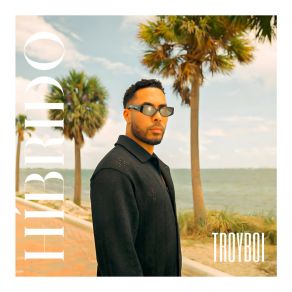 Download track Híbrido TroyBoi