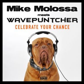 Download track Celebrate Your Chance (Dave Lamond Electro Mix) Mike Molossa, Wavepuncher