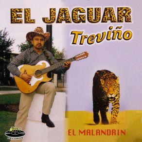 Download track El Malandrín El Jaguar Treviño