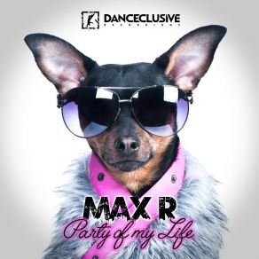 Download track Party Of My Life (Voggi & Baseto Remix Edit) Max R