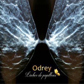 Download track Petite Voix Odrey