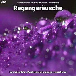 Download track Regengeräusche, Pt. 2 Regengeräusche