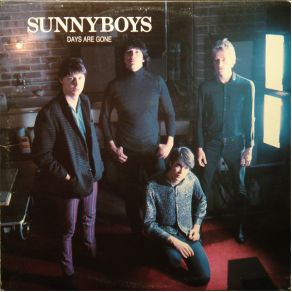 Download track Leaf On A Tree Sunnyboys