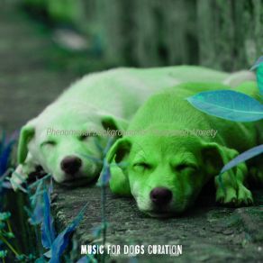 Download track Spirited Ambience For Lonely Dogs Music For Dogs Curation