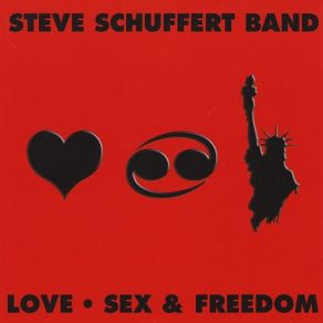 Download track Back On The Ground Steve Schuffert Band