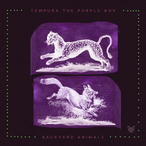 Download track Panthera Pardus The Purple Boy