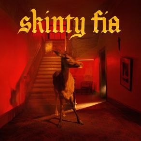 Download track Skinty Fia FONTAINES D. C