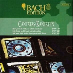 Download track Ich Lasse Dich Nicht, Du Segnest Mich Denn BWV 157 - IV Aria (Basso) Johann Sebastian Bach