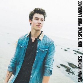 Download track Don't Speak Your Language Shawn Mendes