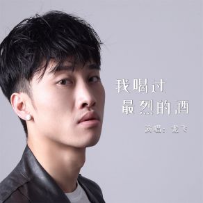 Download track 我喝过最烈的酒 (伴奏) Fei Long