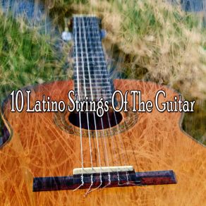 Download track When I Fall In Love Spanish Guitar Chill Out