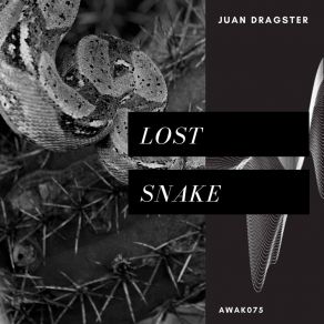 Download track Lost Juan Dragster