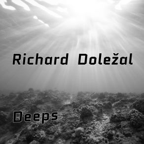 Download track Counters Richard Doležal