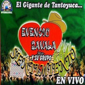 Download track Mi Suegra Evencio Zavala