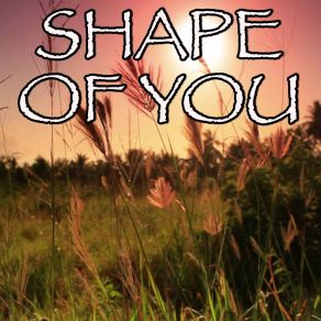 Download track Shape Of You - Tribute To Ed Sheeran And Stormzy (Stormzy Remix; Instrumental Version) Billboard